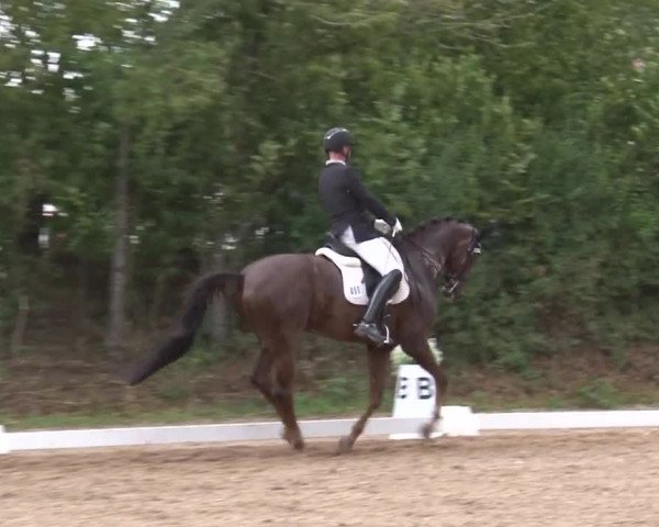 Reitturnier Kleinostheim/Ufr. 2019