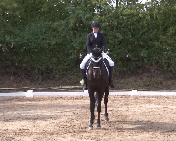 Reitturnier Kleinostheim/Ufr. 2019