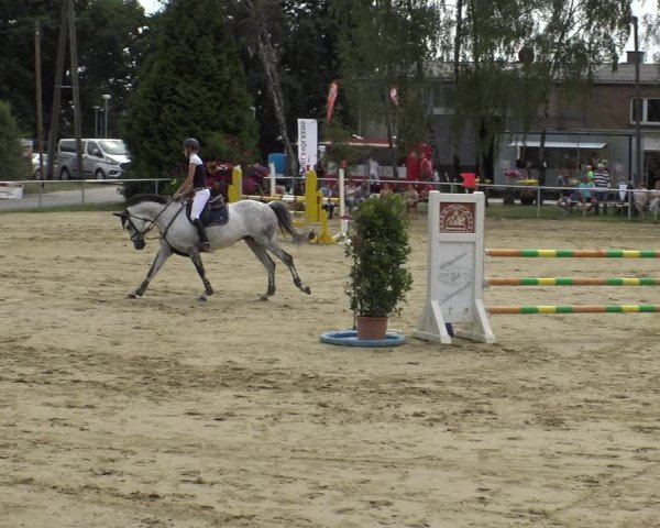 Reitturnier Herbern 2019