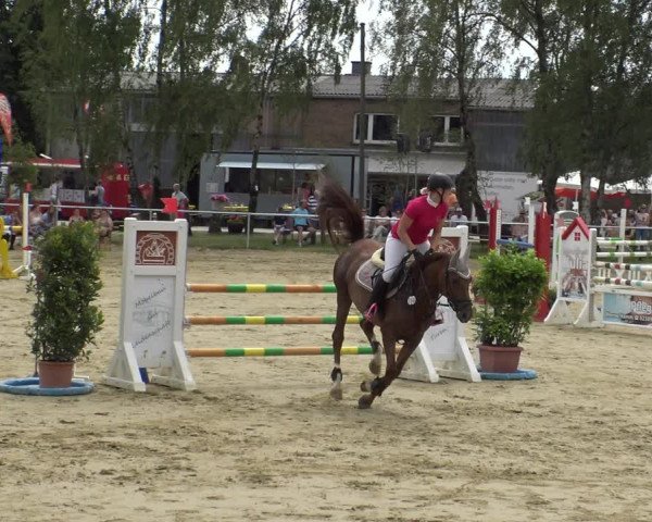 Reitturnier Herbern 2019
