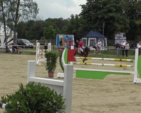 Reitturnier Herbern 2019