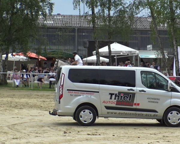 Reitturnier Herbern 2019