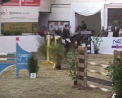 jumper Duc de Rhoan (Oldenburg, 2009, from Diarado)