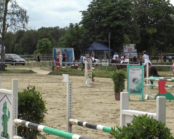 Reitturnier Herbern 2019