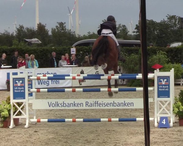 Reitturnier Hörup 2019