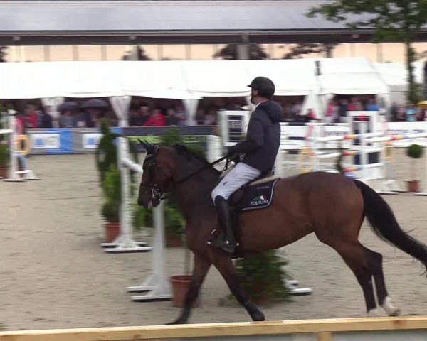 Reitturnier Hörup 2019