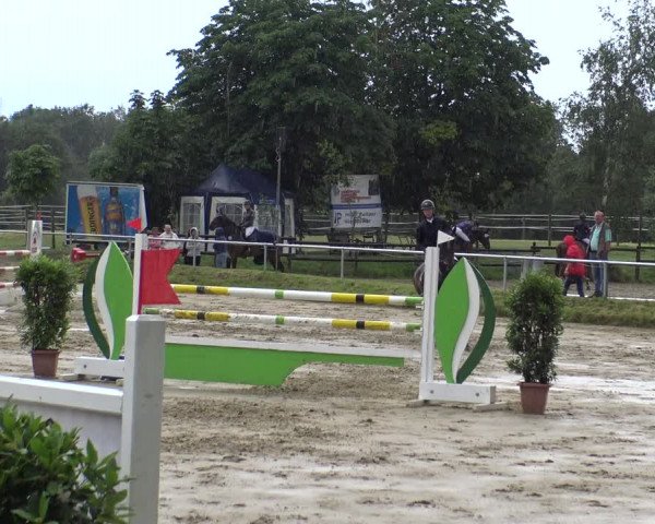 Reitturnier Herbern 2019