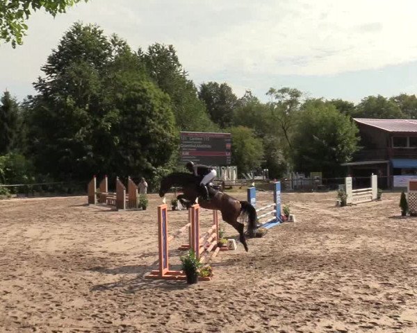 Reitturnier Marienheide-Kempershöhe 2019
