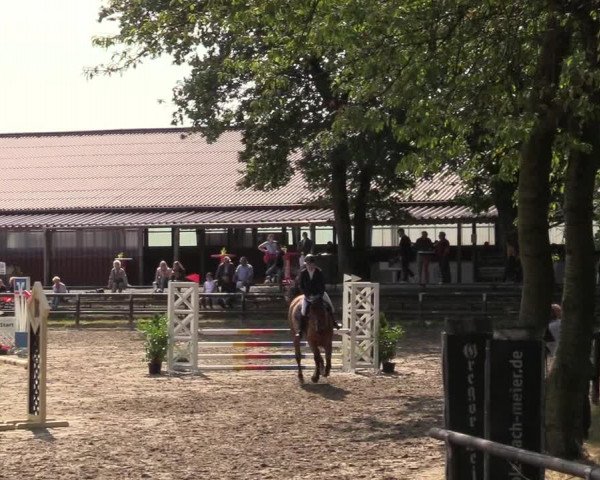 Reitturnier Marienheide-Kempershöhe 2019