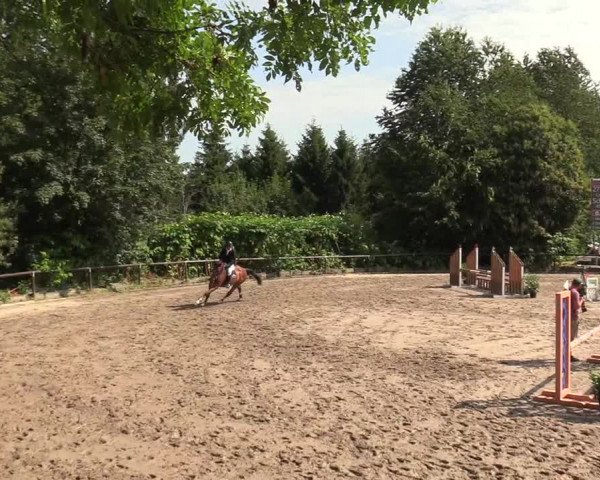 Reitturnier Marienheide-Kempershöhe 2019