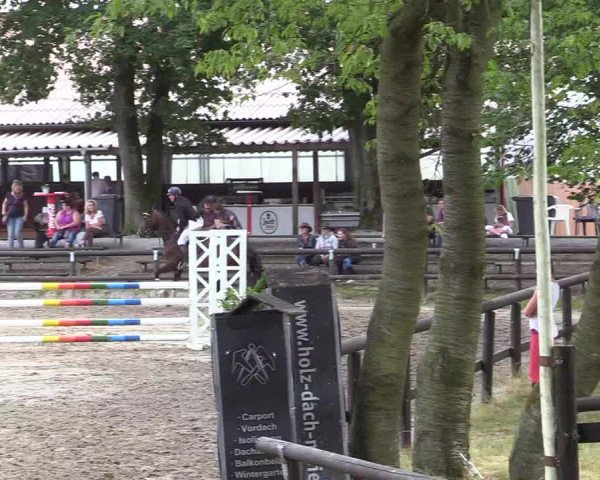 Reitturnier Marienheide-Kempershöhe 2019