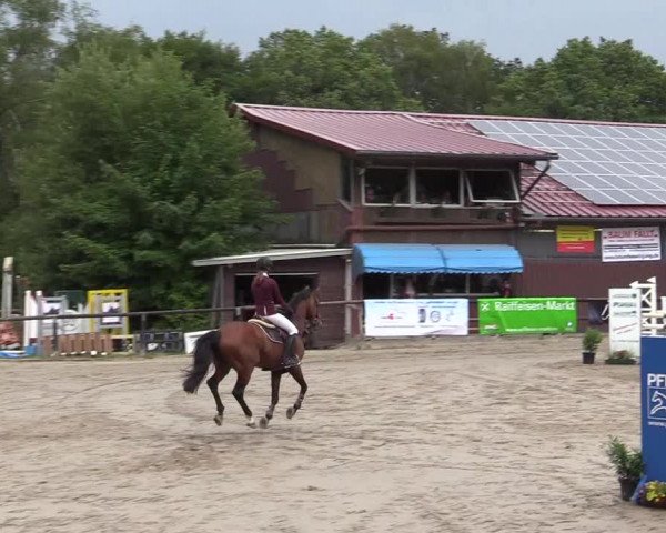 Reitturnier Marienheide-Kempershöhe 2019