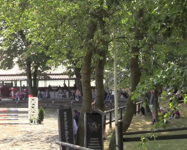 Reitturnier Marienheide-Kempershöhe 2019
