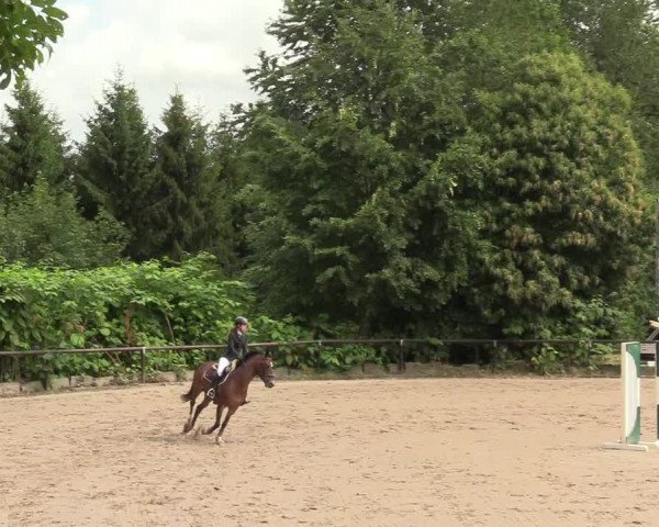 Reitturnier Marienheide-Kempershöhe 2019