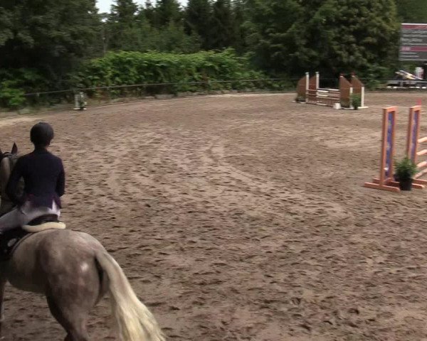 Reitturnier Marienheide-Kempershöhe 2019