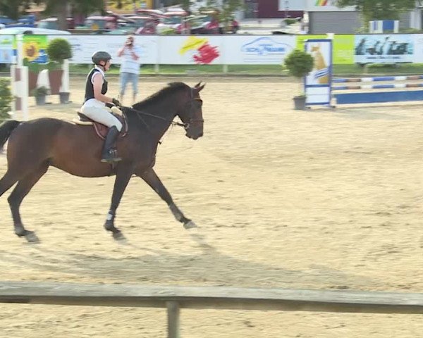 Reitturnier Dagmersellen 2019