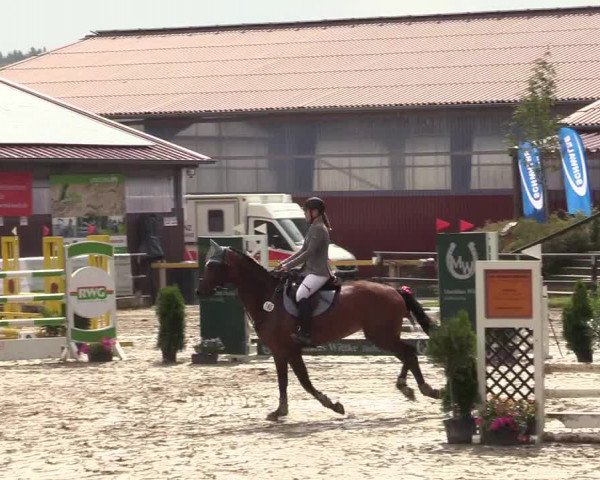 Reitturnier Marienheide-Kempershöhe 2019