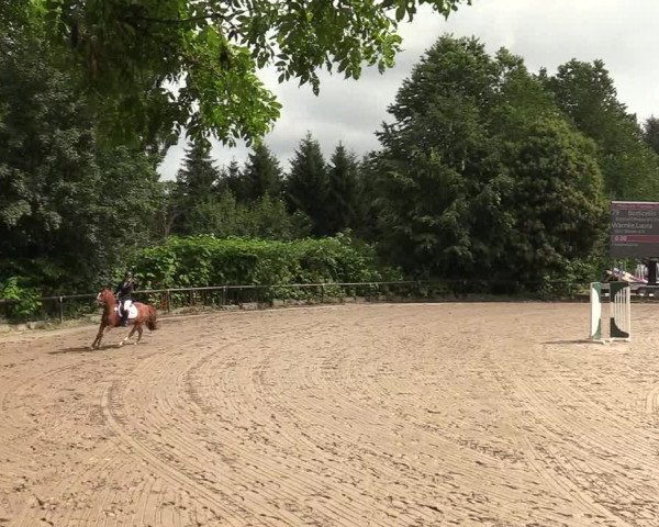 Reitturnier Marienheide-Kempershöhe 2019