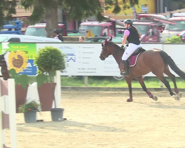 Reitturnier Dagmersellen 2019