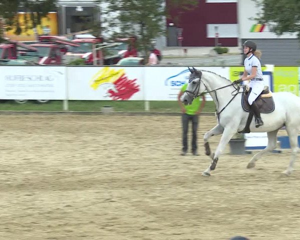 Reitturnier Dagmersellen 2019