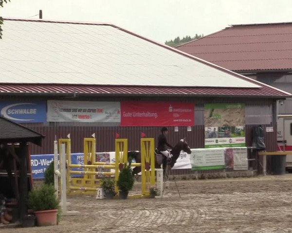 Reitturnier Marienheide-Kempershöhe 2019