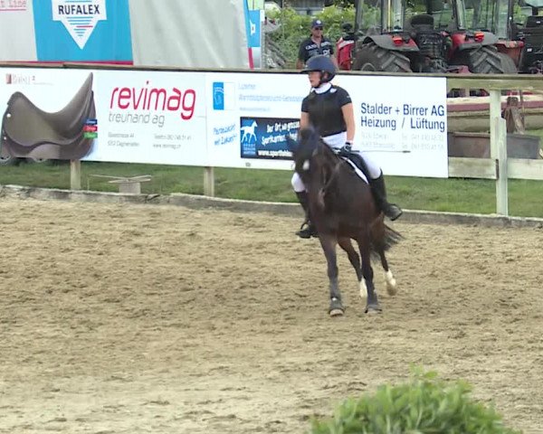 Reitturnier Dagmersellen 2019