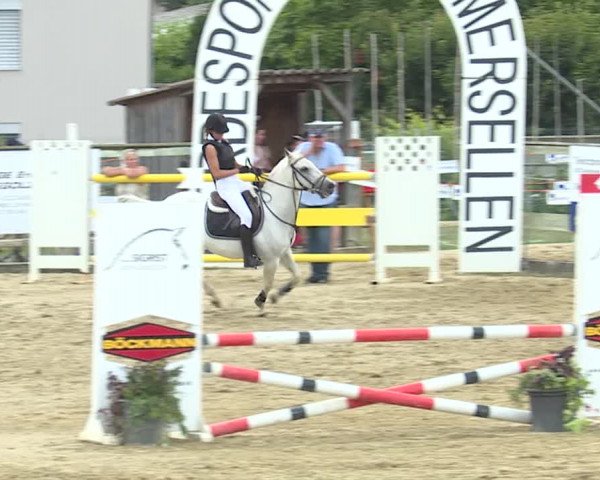 Reitturnier Dagmersellen 2019