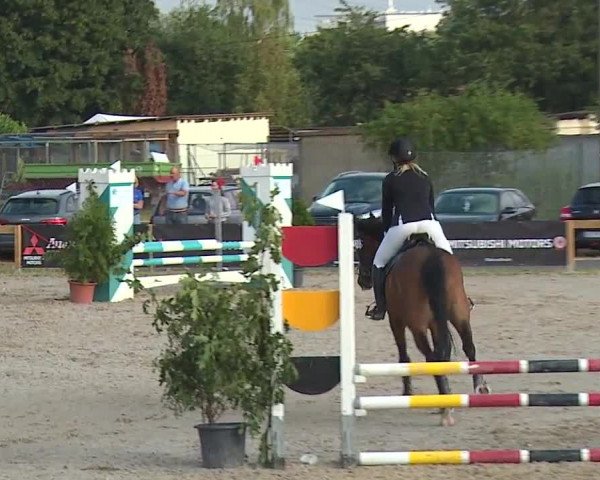 Reitturnier Kleinostheim/Ufr. 2019