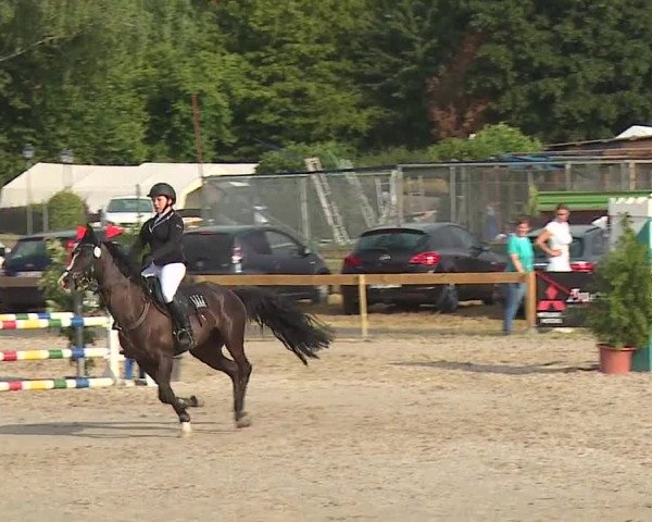 Reitturnier Kleinostheim/Ufr. 2019