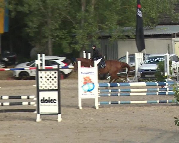 Reitturnier Kleinostheim/Ufr. 2019