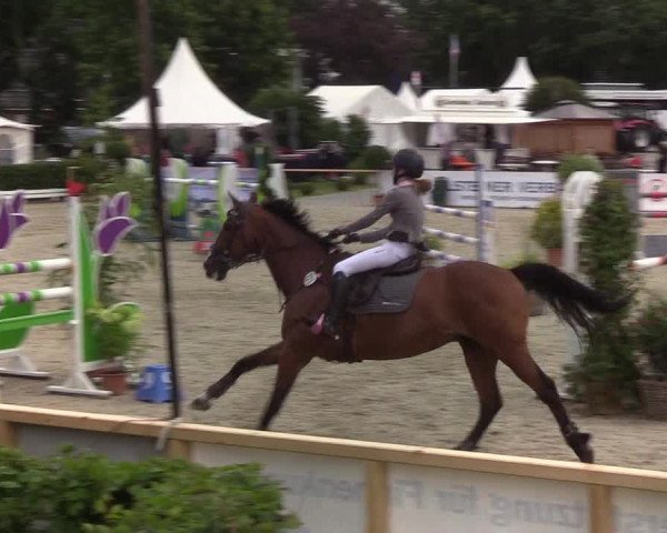 Reitturnier Hörup 2019
