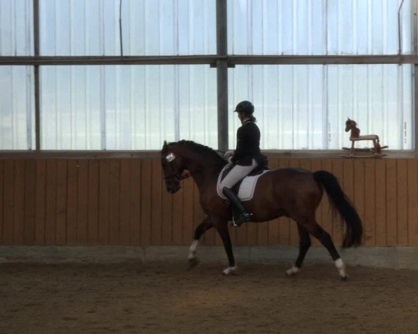 Reitturnier Herbern 2019