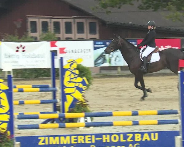 Reitturnier Dagmersellen 2019