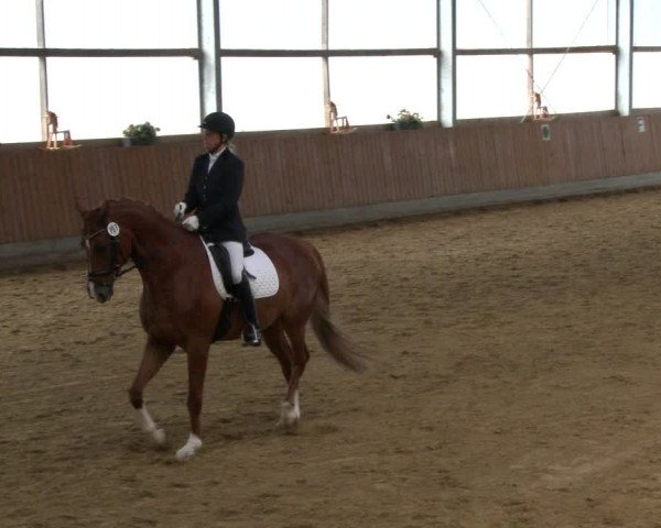 Reitturnier Herbern 2019
