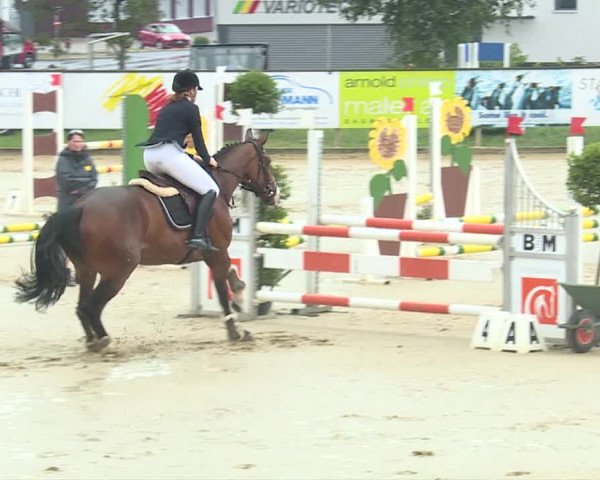 Reitturnier Dagmersellen 2019