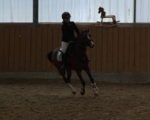 Reitturnier Herbern 2019