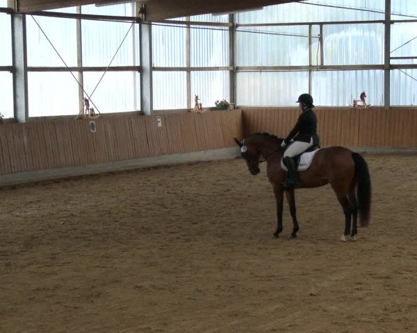 Reitturnier Herbern 2019