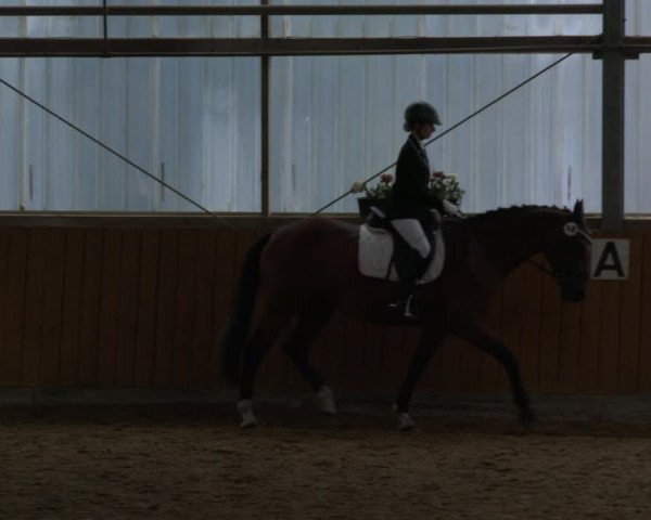 Reitturnier Herbern 2019