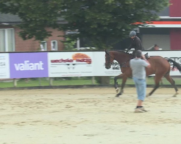 Reitturnier Dagmersellen 2019