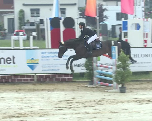 Reitturnier Dagmersellen 2019