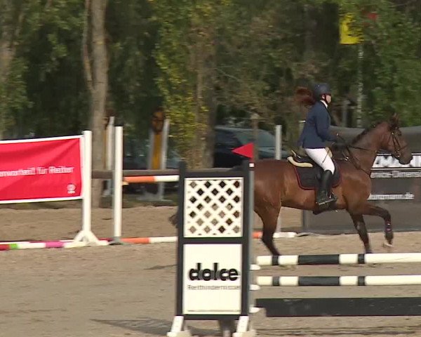 Reitturnier Kleinostheim/Ufr. 2019