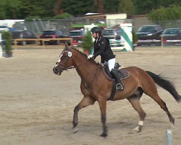 Reitturnier Kleinostheim/Ufr. 2019