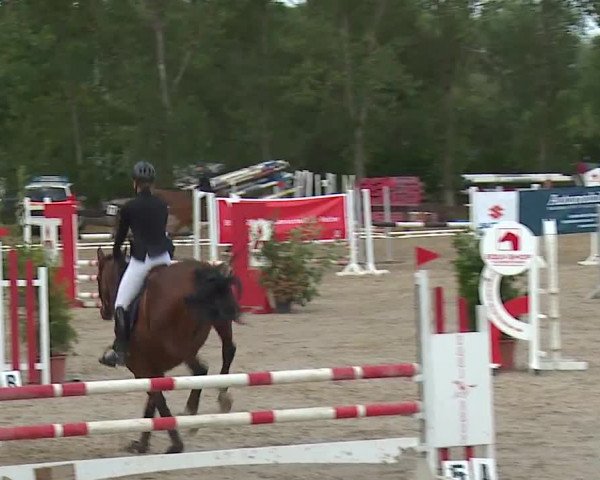 Reitturnier Kleinostheim/Ufr. 2019