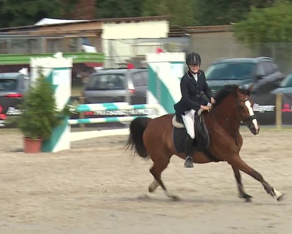 Reitturnier Kleinostheim/Ufr. 2019