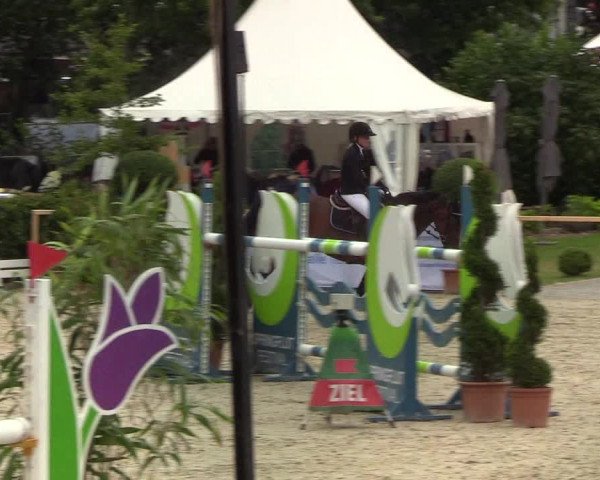 Reitturnier Hörup 2019