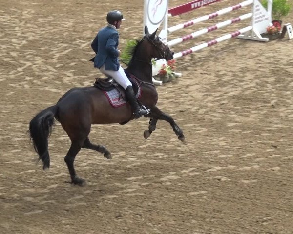 Reitturnier CSN Calvörde 2019