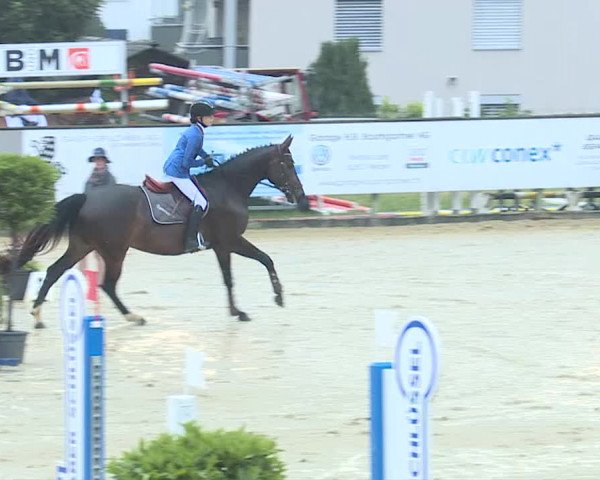 Reitturnier Dagmersellen 2019