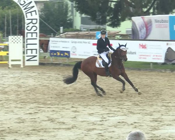 Reitturnier Dagmersellen 2019
