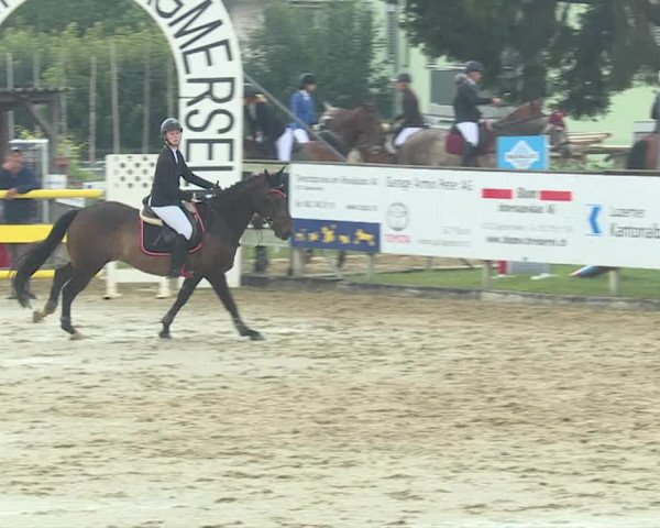 Reitturnier Dagmersellen 2019
