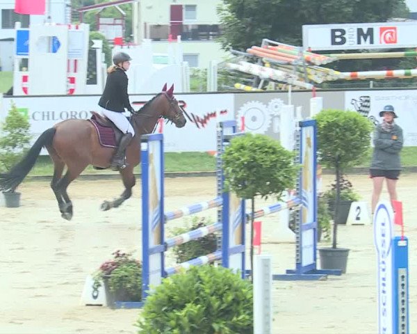 Reitturnier Dagmersellen 2019